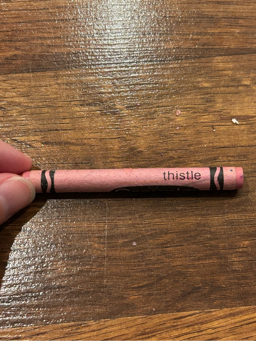 Retired Crayola Thistle Color Crayon Vintage 1997 Binney & Smith